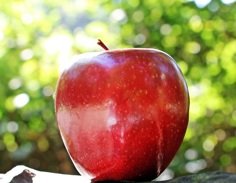 Healthy Food Choices